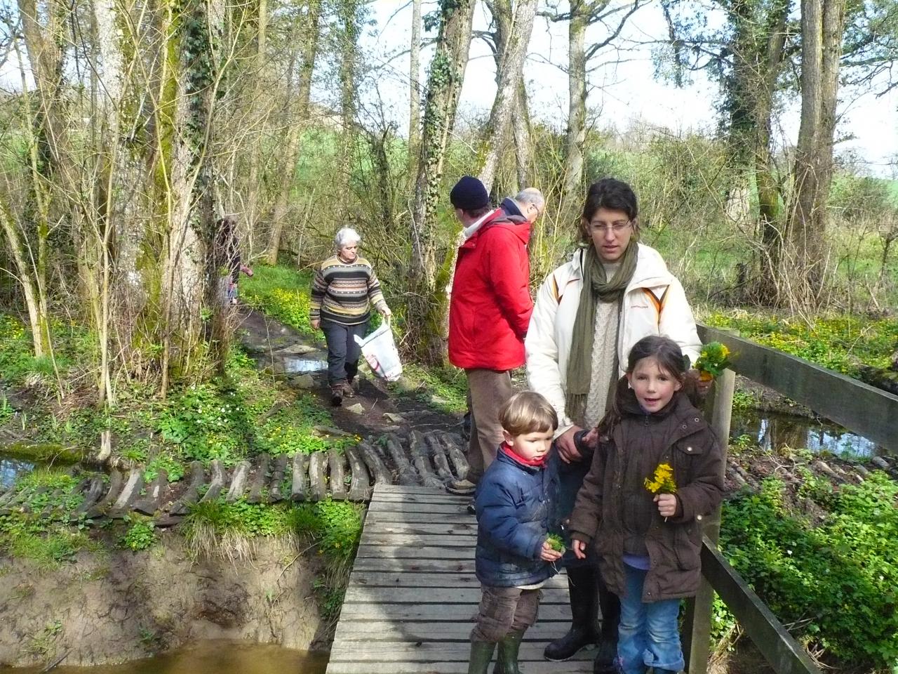 1-le matin, dans le bois des Vaseix