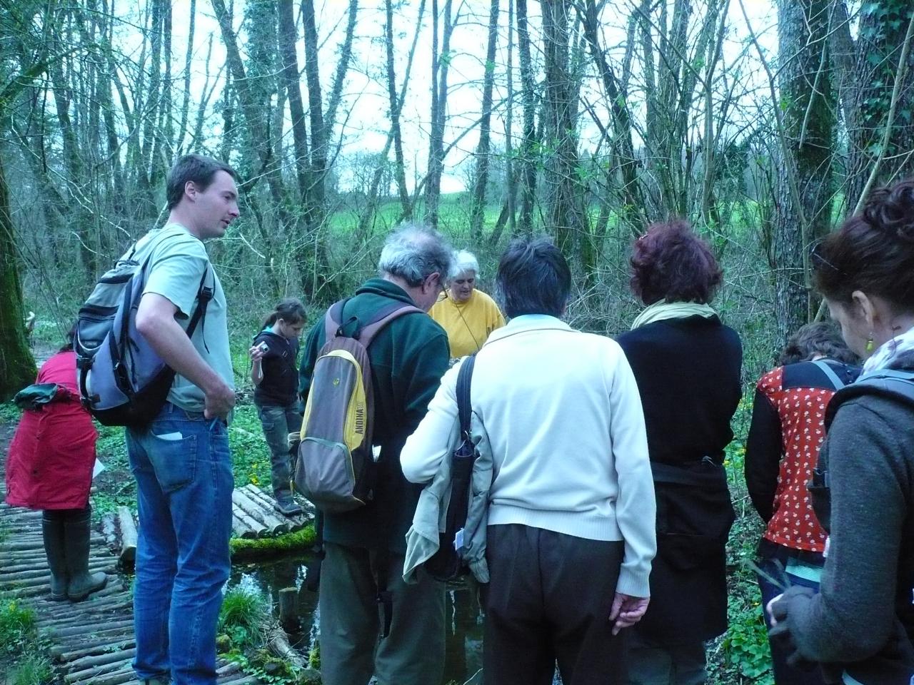 8-l'après-midi dans le bois des Vaseix